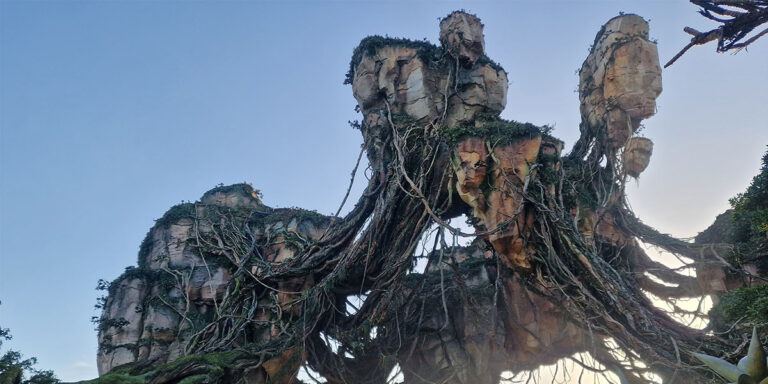 Des animaux et de la magie…