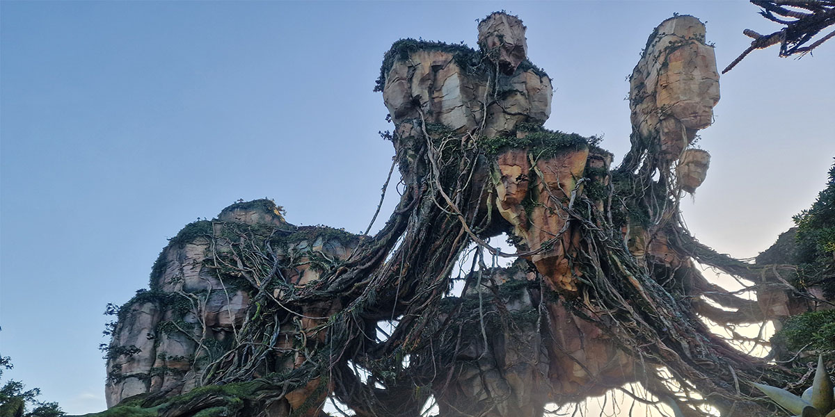 You are currently viewing Des animaux et de la magie…